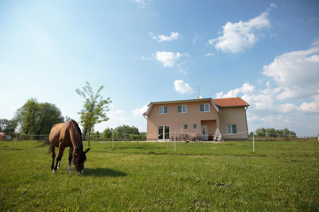 Guesthouse Capistro Bilje Екстер'єр фото